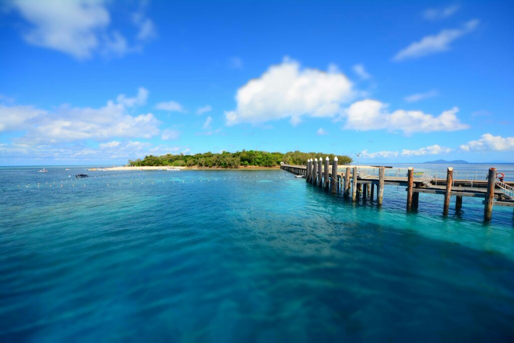 Things to do in Cairns, brown dock beside body of water